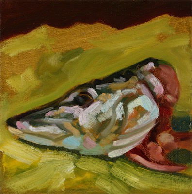 Pike Head I; oil on canvas, 20 x 20 cm, 2011